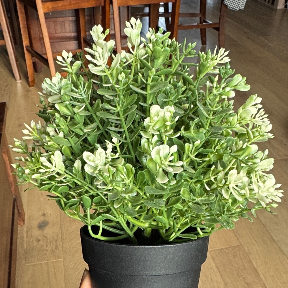 IKEA Faux Greenery in Black Planter